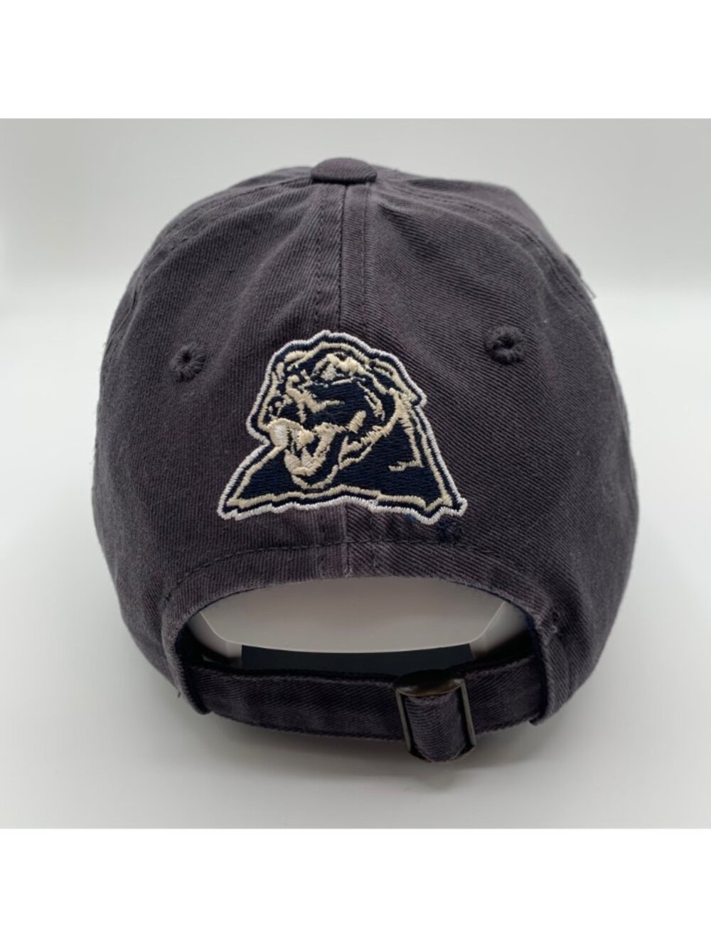 Pitt Panthers NCAA Womens Gray Top of the World Strapback Hat - Picture 3 of 5